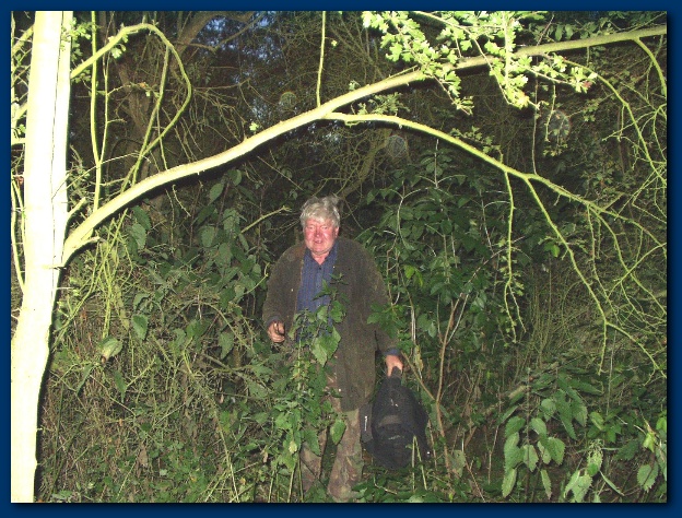 600x449 pixels (197K)